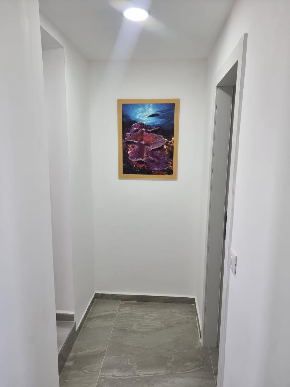 דירת גג נוף המפרץ 1105-6 Apartamento Eilat Exterior foto